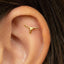 A gold-colored metal earring in the shape of a bull's head is visible in the person's ear.