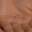 Hippo Stud, Threadless Flat Back Earring, Minimalist Style, A-SS1065