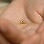 Ferret Stud, Threadless Flat Back Earring, Minimalist Style, A-SS1019