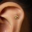A small gold earring with a small animal design is visible in the person's ear.