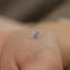 Butterfly Stud, Threadless Flat Back Earring, Minimalist Style, A-SS1108