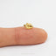 Puffer Fish Stud, Threadless Flat Back Earring, Minimalist Style, A-SS1106