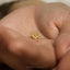 Cosmos Flower Stud, Threadless Flat Back Earring, Minimalist Style, A-SS1056