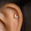 A close-up of a person's ear with a small, diamond-encrusted earring.