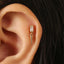 A gold earring with a small gemstone is visible in the person's ear.