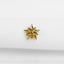 a gold pin with a star design on it