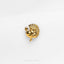 a gold brooch depicting a peacock on a white background
