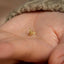 a person's hand holding a tiny gold bee stud