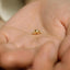 Beaver Stud, Threadless Flat Back Earring, Minimalist Style, A-SS1027