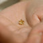 Morning Glory Stud, Threadless Flat Back Earring, Minimalist Style, A-SS1055