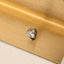 Lion Head Stud, Threadless Flat Back Earring, Minimalist Style, A-SS577