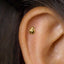 A gold-colored earring in the shape of a ladybug is visible in the person's ear.