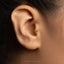 Rattlesnake Viper Vertebrae Stud, Threadless Flat Back Earring, Minimalist Style, A-SS1109