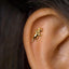 A close-up of a person's ear with a small gold-colored earring in the shape of a triceratops, a mythical creature from the children's story "The Three Little Pigs".