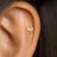 A gold-colored earring in the shape of a dragonfly is visible in the person's ear.