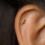 A small gold-colored airplane stud earring is visible in the person's ear.