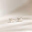 Flying Pig Stud, Butterfly End or Screw Ball End Earring, Minimalist Style, A-SS839 SS840