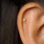 A close-up view of a person's ear, showing a small gold earring with a diamond in the center.