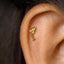 A gold-colored fish-shaped earring is visible in the person's ear.