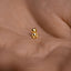 Teddy Bear Tragus Stud, Threadless Flat Back Earring, Minimalist Style, A-SS978