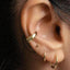 A close-up view of a person's ear adorned with multiple gold earrings, including hoop earrings and a cork earring.