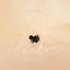 Spider Lip Stud, Threadless Flat Back, Minimalist Style, A-SS561