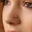 A close-up of a person's face, focusing on their nose and the gold star-shaped nose piercing.
