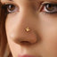 A close-up of a person's face, focusing on their nose and the small gold nose ring.