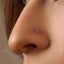 A close-up of a person's nose with a small, clear nose stud or piercing.