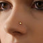 A close-up of a person's nose with a small gold crown-shaped nose stud.