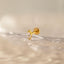 Marquise Stone Nose Stud, Threadless Flat Back, Minimalist Style, A-SS573