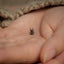 a tiny black spider sitting on the palm of someone's hand