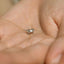 Axolotl Stud, Threadless Flat Back Earring, Minimalist Style, A-SS1021