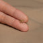 a person's hand holding a tiny gold bow ring