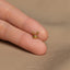 a person's hand holding a tiny gold nose ring
