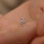 Cobra Snake Stud, Threadless Flat Back Earring, Minimalist Style, A-SS1072