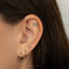 Guinea Pig Stud, Threadless Flat Back Earring, Minimalist Style, A-SS1018