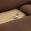 Guinea Pig Stud, Threadless Flat Back Earring, Minimalist Style, A-SS1018