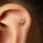 a close up of a person wearing a pair of ear piercings