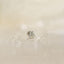 Beetle Stud, Threadless Flat Back Earring, Minimalist Style, A-SS574