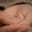 a person holding a tiny gold object in their hand