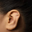 A close-up of a person's ear with a small gold earring in the earlobe.