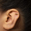 A close-up of a person's ear with a gold earring featuring a small animal design.