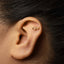 A close-up of a person's ear with a gold-colored earring in the earlobe.