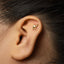 A gold camel earring is visible in the person's ear.