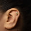 A close-up of a person's ear with a small gold-colored earring in the earlobe.