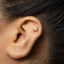 A close-up of a person's ear with a small gold dragon-shaped earring inserted in the earlobe.