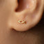 A close-up view of a person's ear with a small gold earring featuring a fish design.