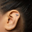 A small silver earring in the shape of a cow is visible in the person's ear.