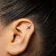 A close-up of a person's ear with a small silver bird-shaped earring in the earlobe.